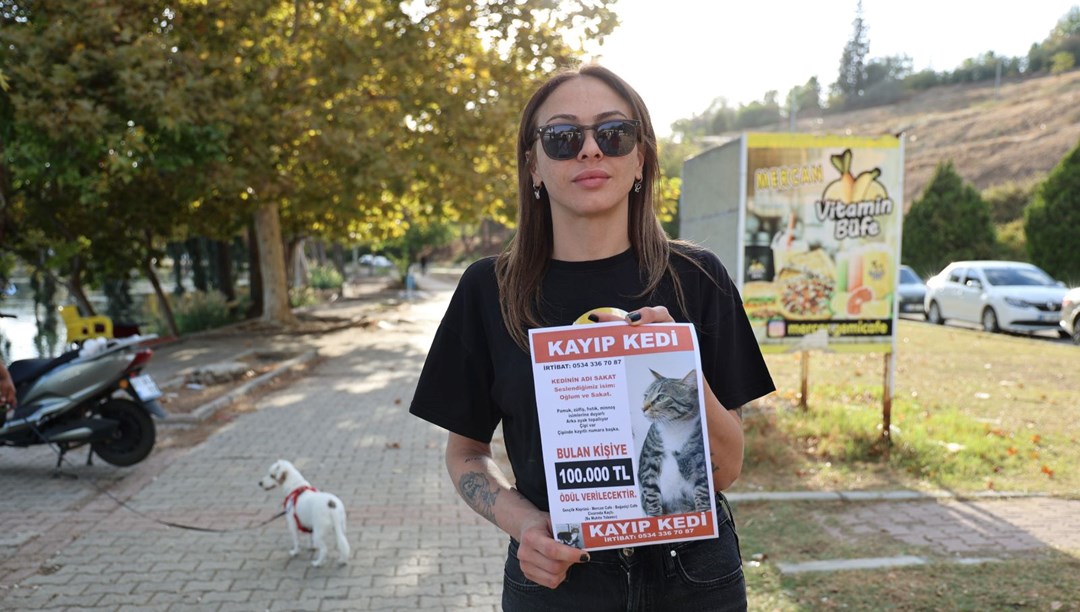 Kedisi kayboldu, bulana 100 bin lira ödül verecek: “3 gündür ağlamaktan uyuyamıyorum” Kedisi kayboldu, bulana 100 bin lira ödül verecek: “3 gündür ağlamaktan uyuyamıyorum”