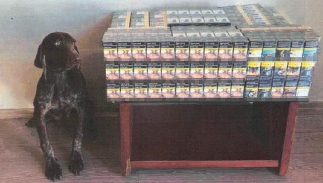 Bolu’da kaçak sigara operasyonunda gözaltı Bolu’da kaçak sigara operasyonunda gözaltı