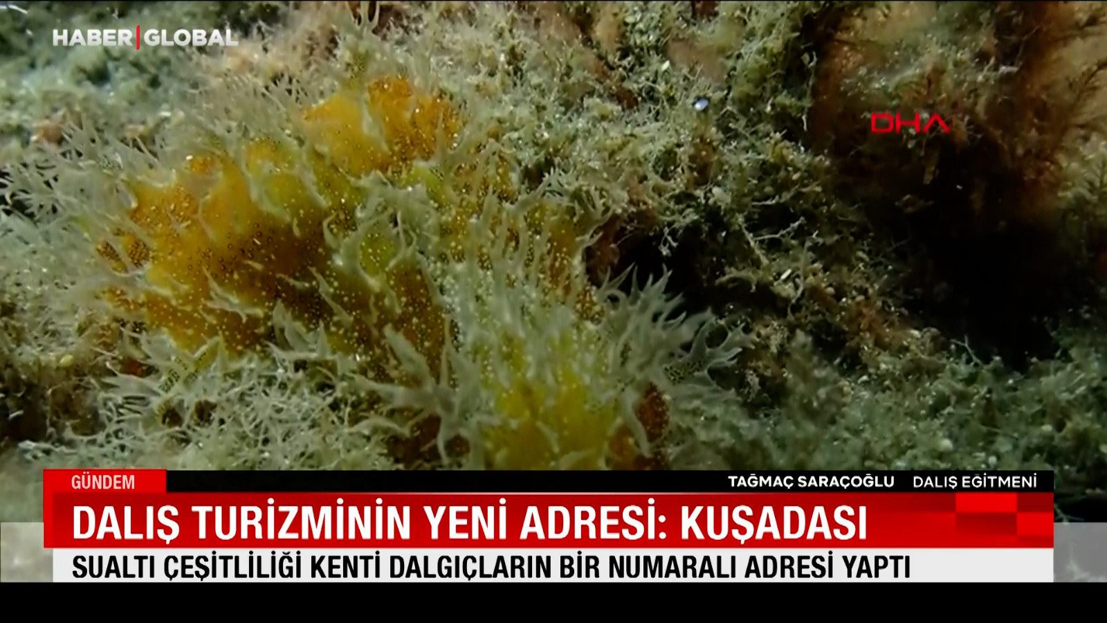 Dalış turizminin yeni adresi: Kuşadası