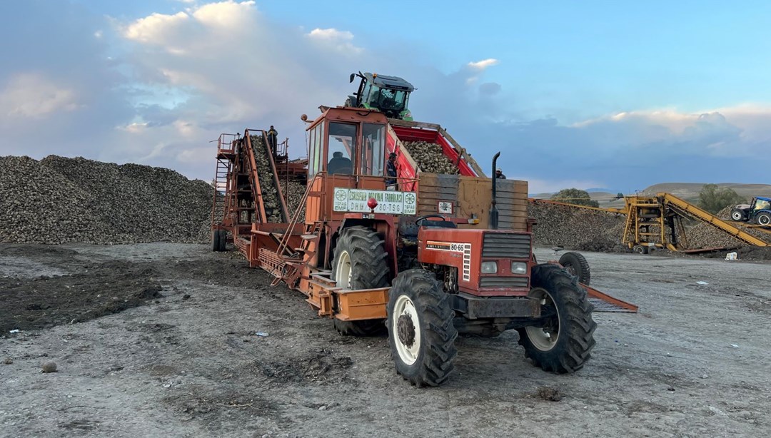 Gece gündüz tarladalar: Toplamak için zamanla yarışılıyor