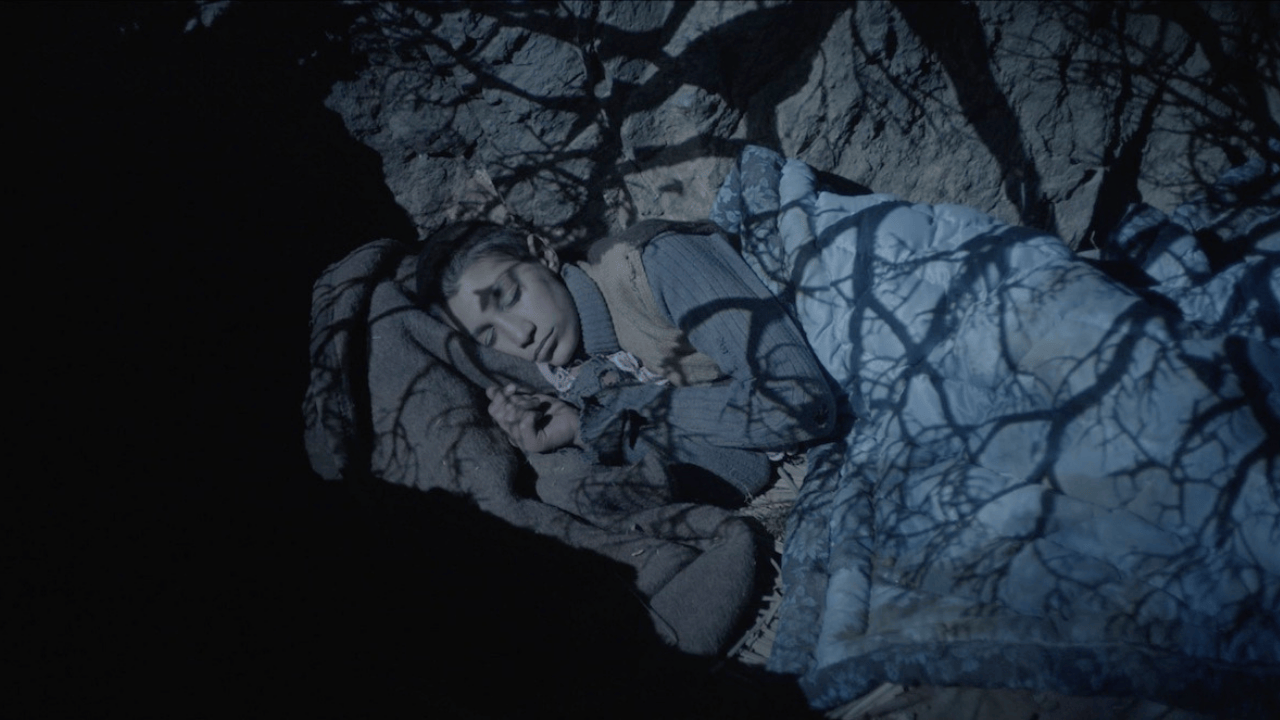 Tallinn’den Ödüllerle Dönen “Tavşan İmparatorluğu”, Türkiye Prömiyerini Antalya Film Festivali’nde Yapıyor