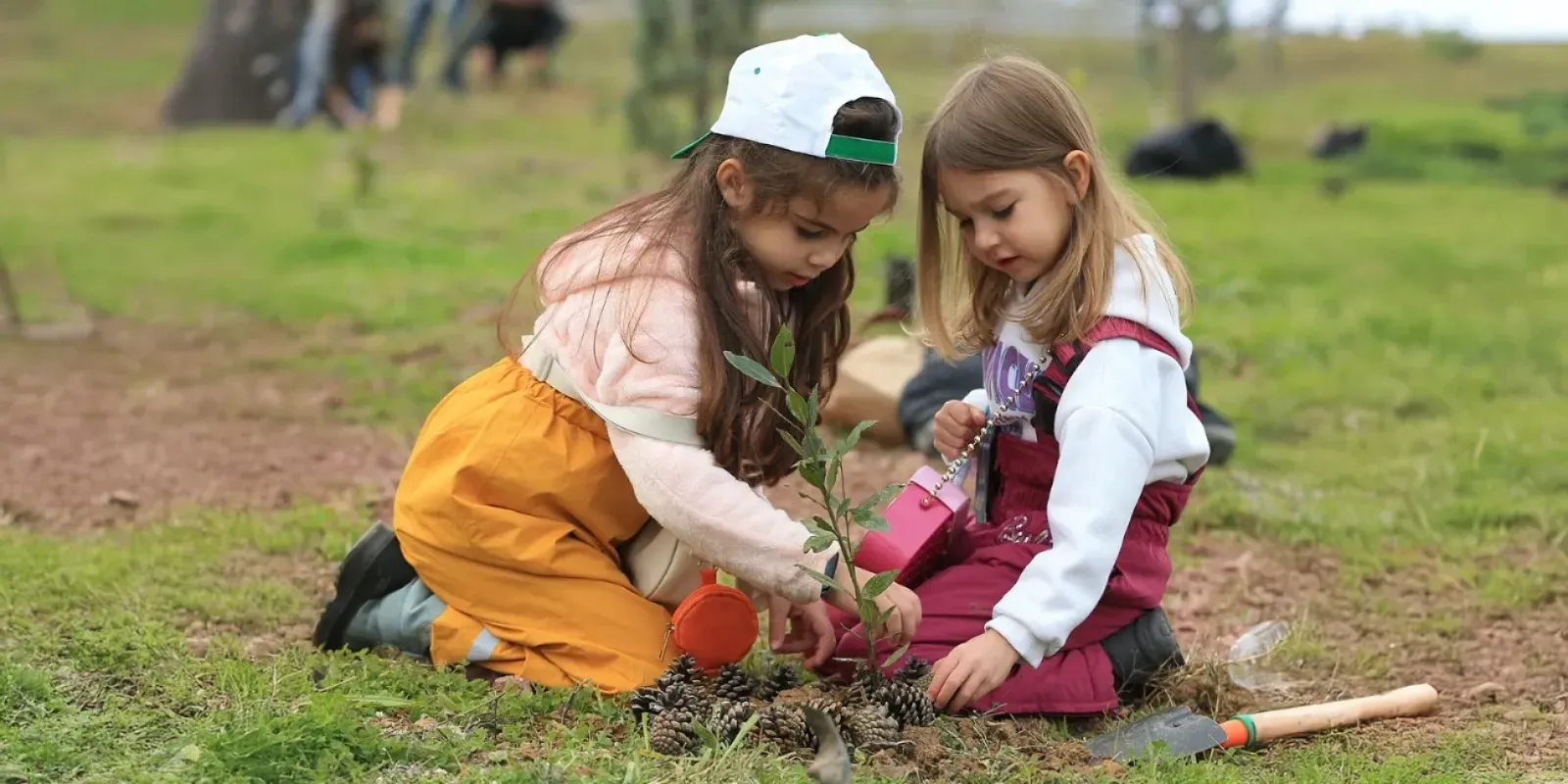 10 Kasım’da Anma, 11 Kasım’da Fidan: MEB’den İki Günü Birleştiren Proje 10 Kasım’da Anma, 11 Kasım’da Fidan: MEB’den İki Günü Birleştiren Proje