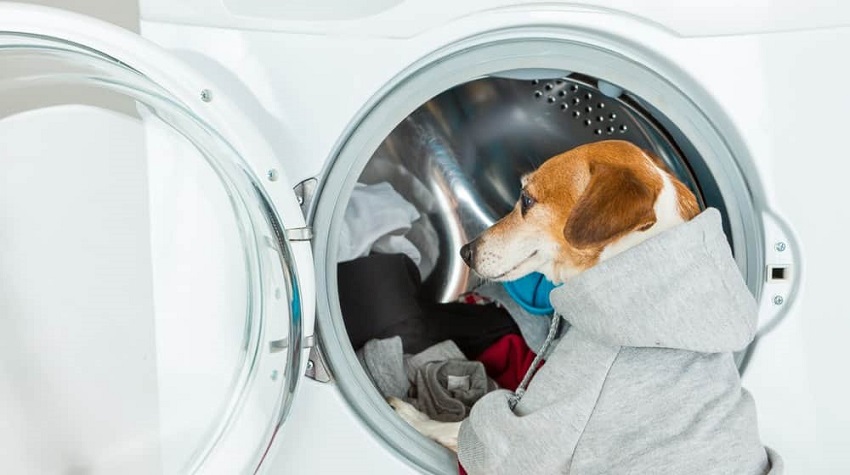 Ev Hijyen Ürünleri