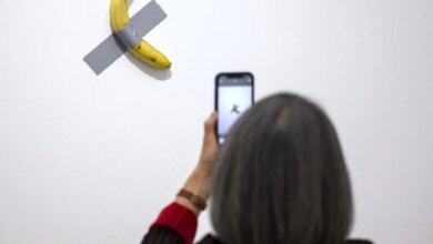 Müzede sergilenen muz tekrar yendi, müze müdahale etti