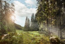 Ekoturizm Türkiye Ekonomisine Yılda 2 Milyar Lira Katkı